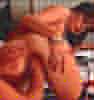 zoophilie,sexe bizarre,scatologie,uro,bondage,fetish