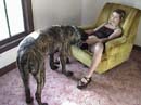 zoo,zoophilie,zophilie,sexe,avec,animaux,cheval,chien,poney