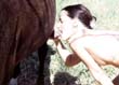 zoo,zoophilie,zophilie,sexe,avec,animaux,cheval,chien,poney