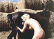 zoo,zoophilie,zophilie,sexe,avec,animaux,cheval,chien,poney